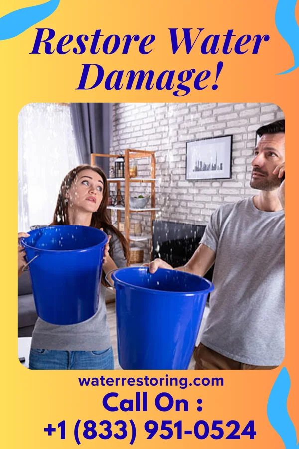 water restoration Expert Disaster Recovery Professionals Jackson Heights